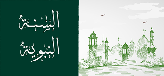 السنة .. بين المحدثين والفقهاء والأصوليين